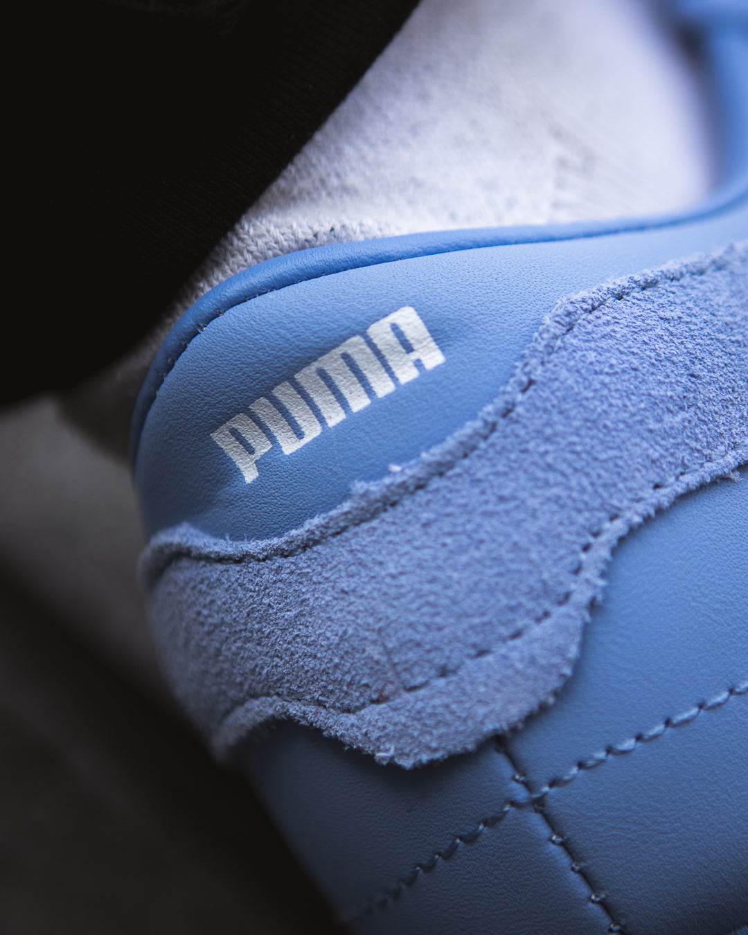 Puma bella ut