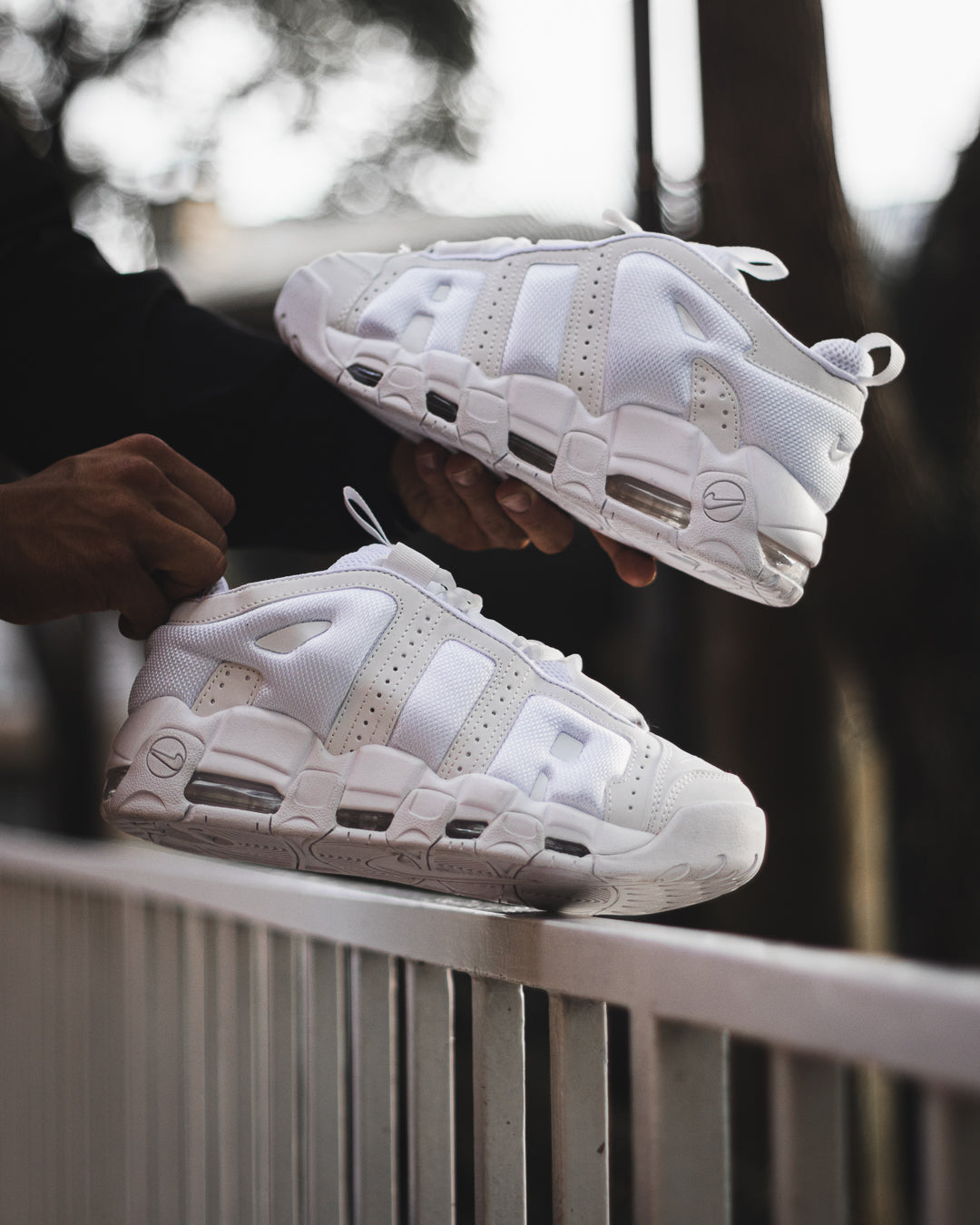 Air more uptempo low - Main Image