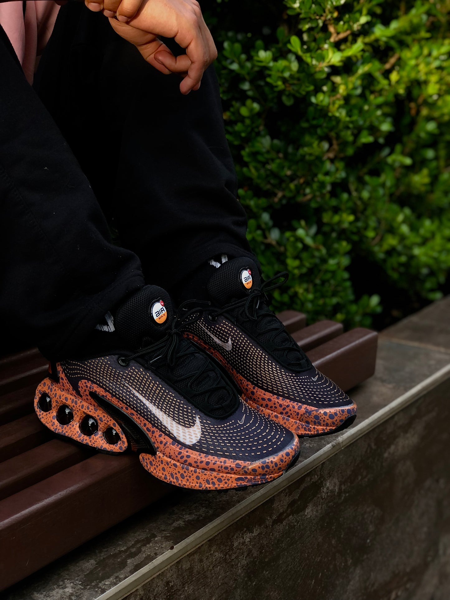 Air Max dn