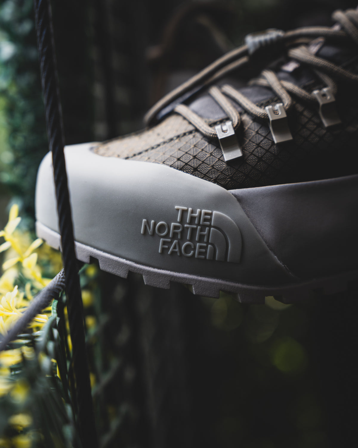North Face Glenclyffe Low