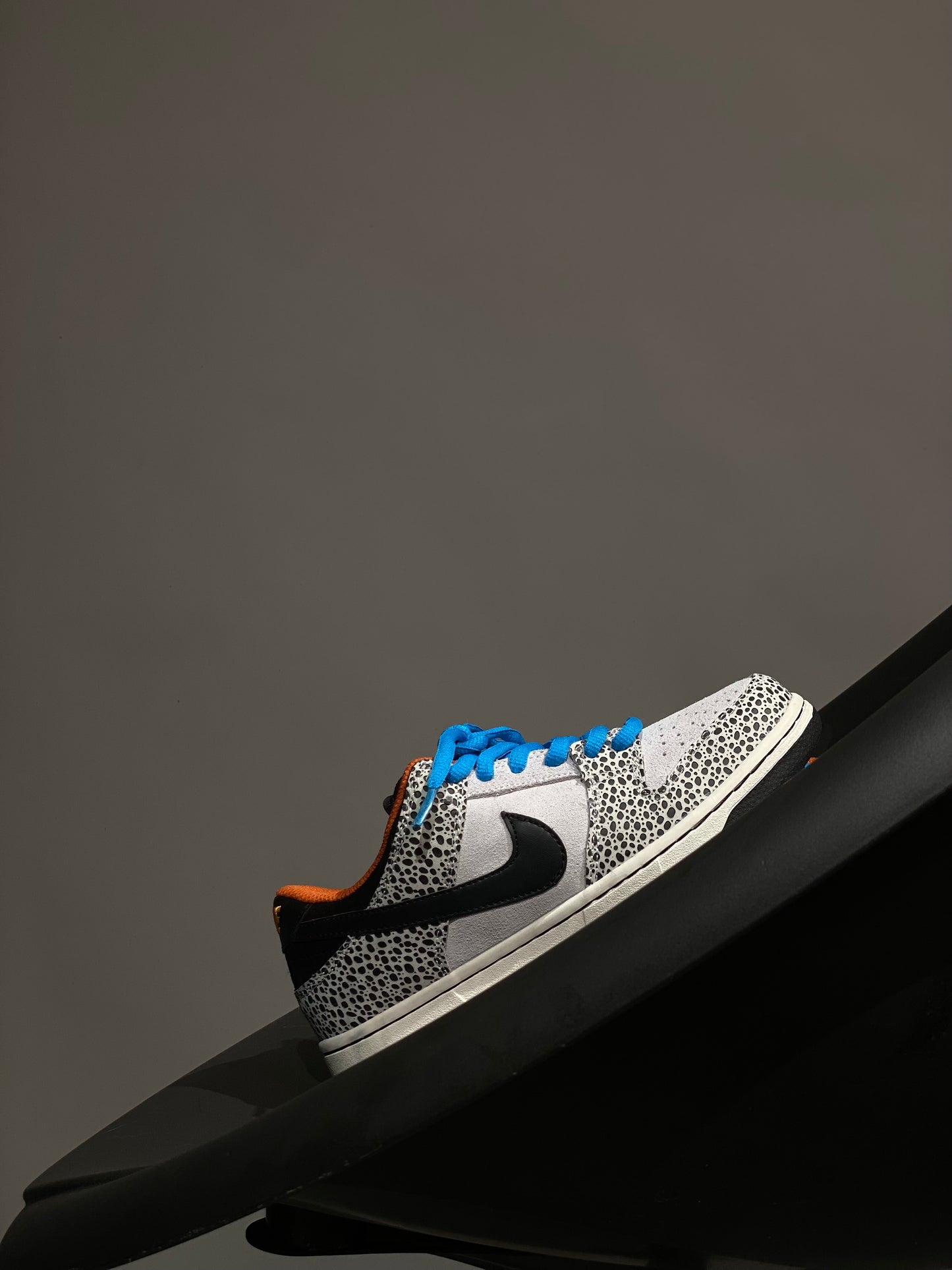 Nike SB Dunk Safari Olympics