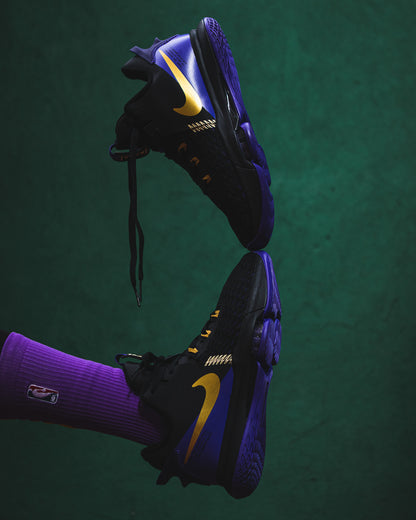 Nike Lebron Witness V