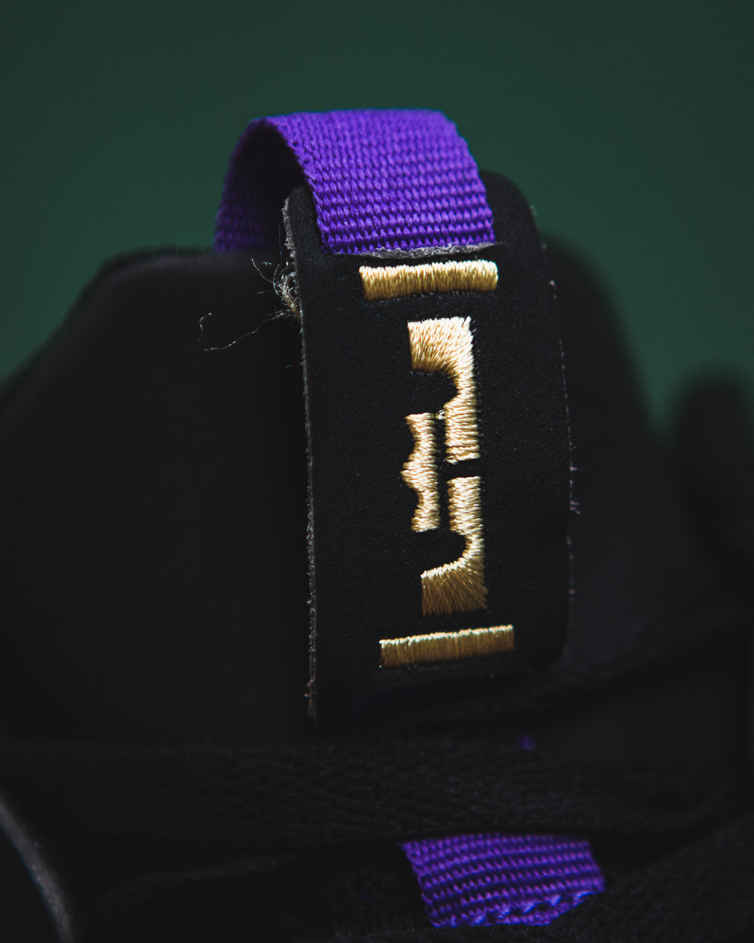 Nike Lebron Witness V