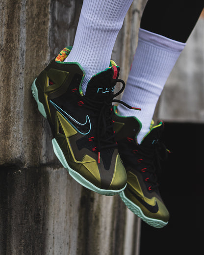 Nike LeBron 11 King's Pride