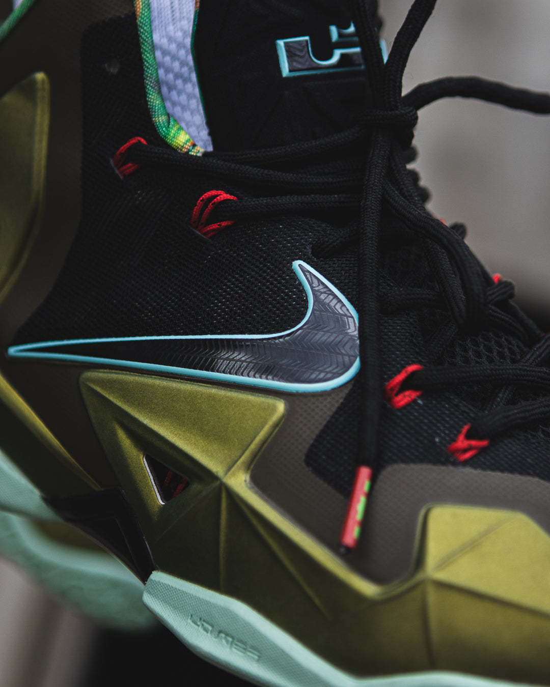 Nike LeBron 11 King's Pride