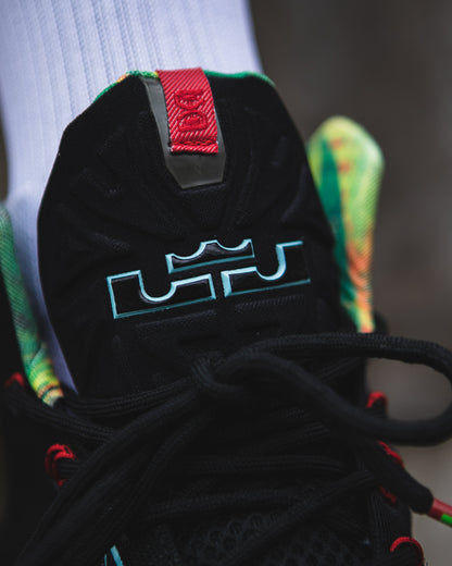 Nike LeBron 11 King's Pride