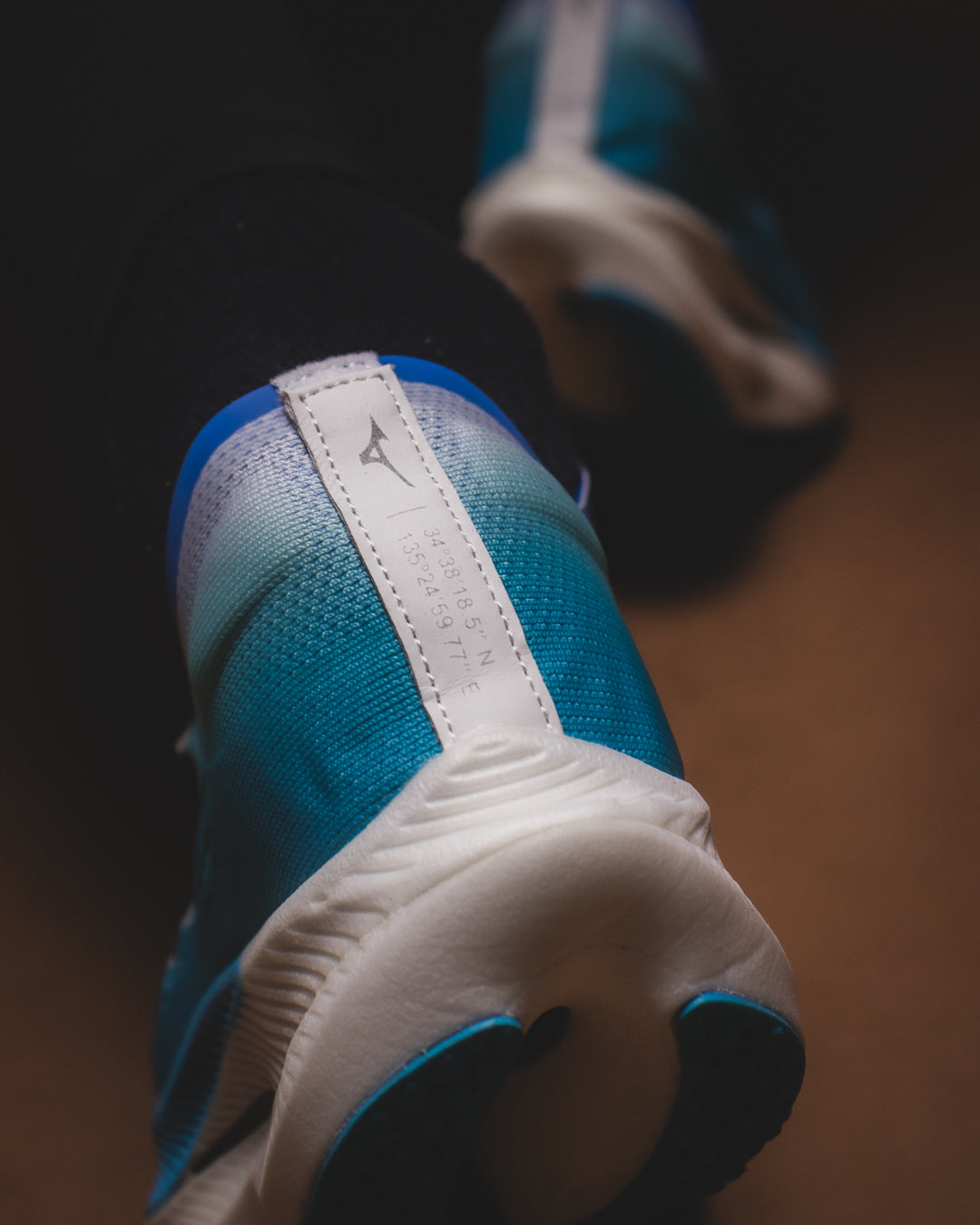 Mizuno Wave Rebellion Pro 2
