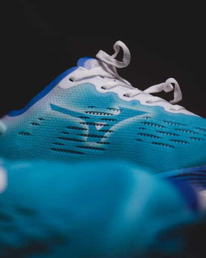Mizuno Wave Rebellion Pro 2