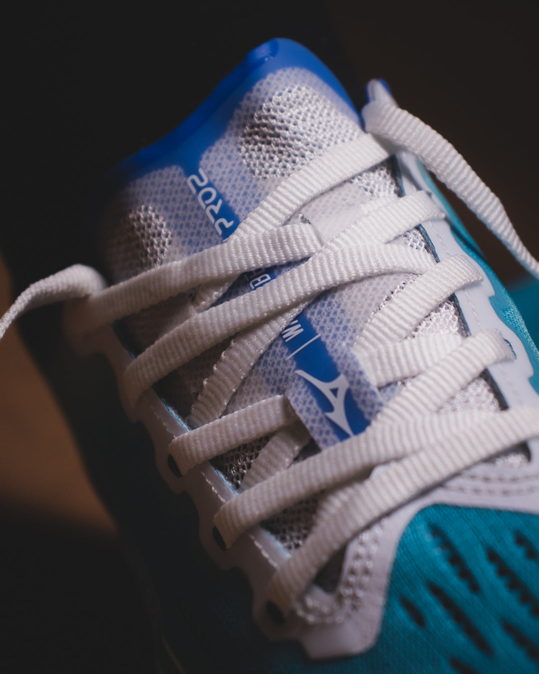 Mizuno Wave Rebellion Pro 2