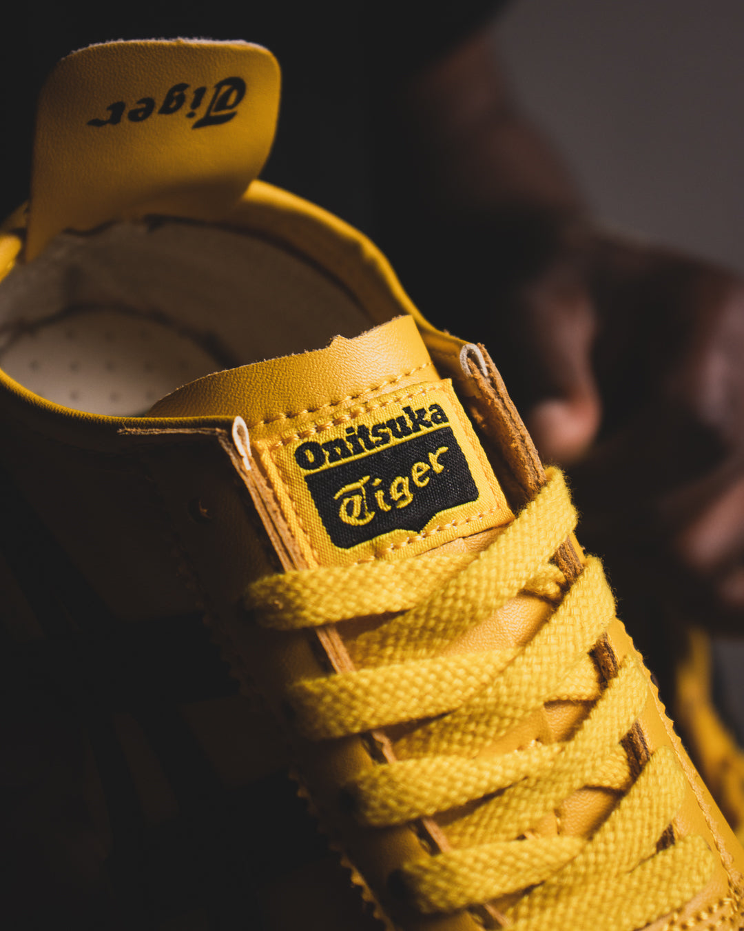 Tiger Onitsuka