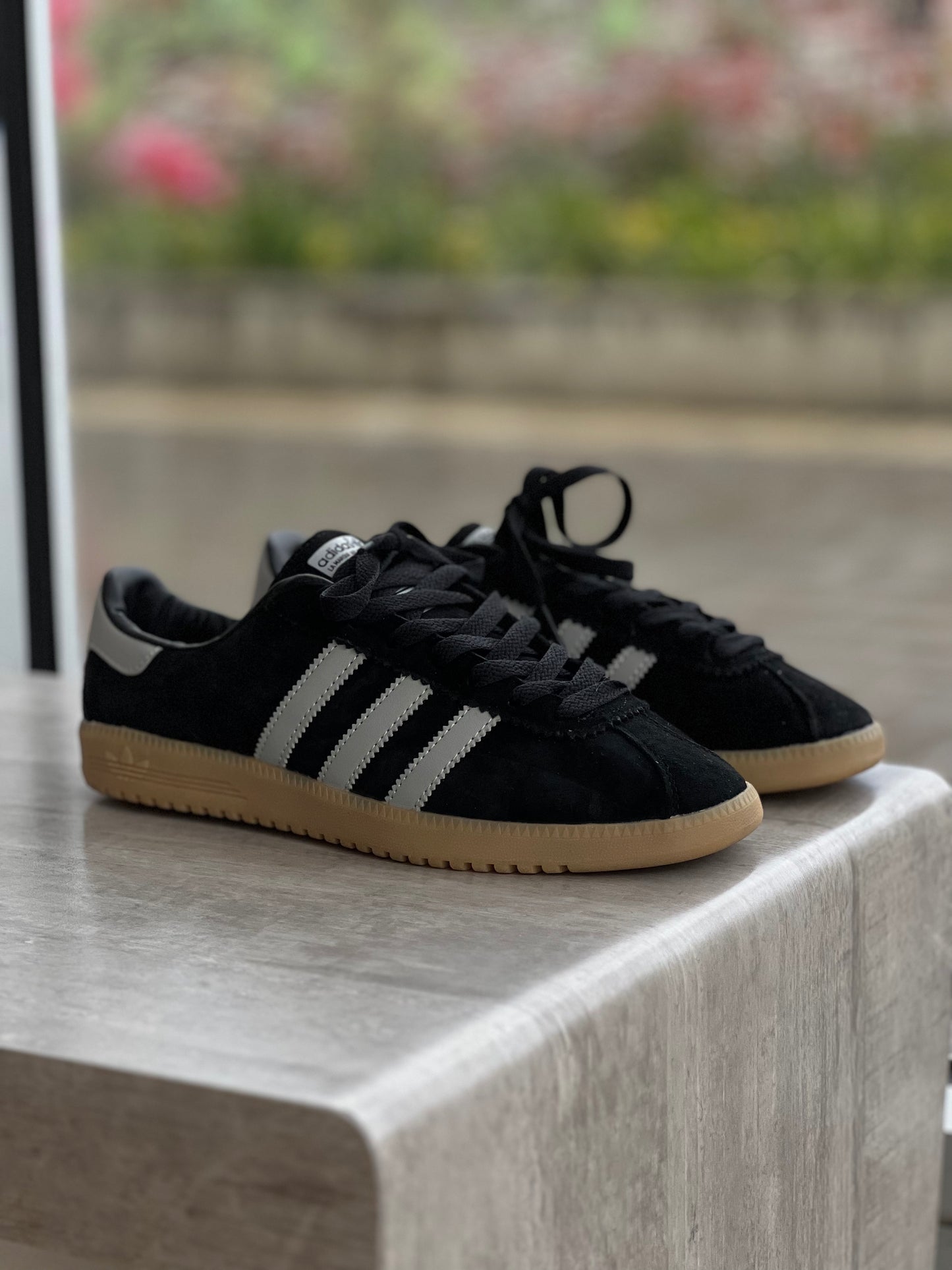 Adidas bermuda