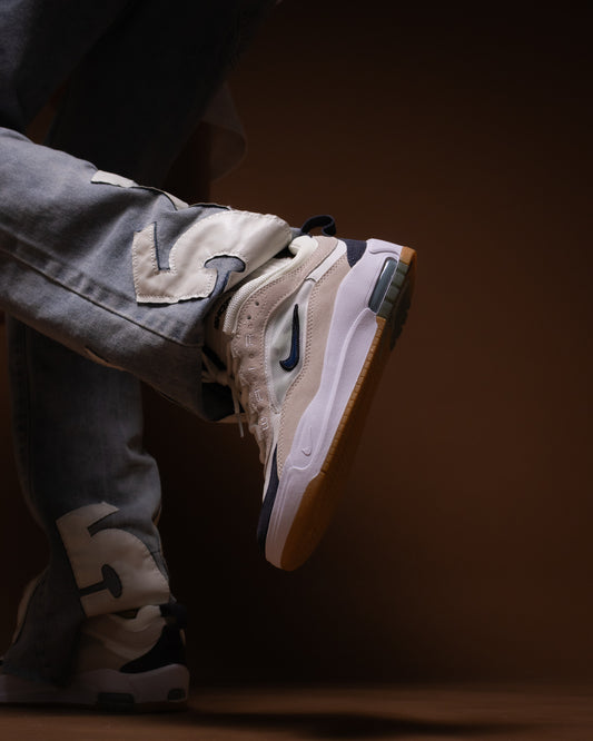 Nike Air Max Ishod Wair skateboarding