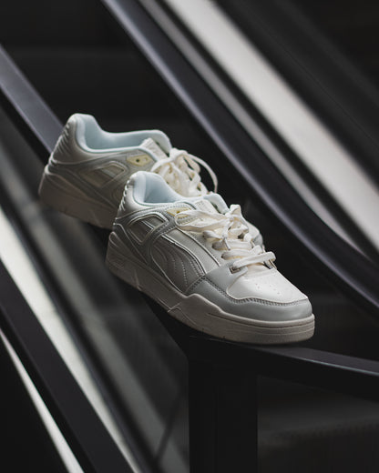 Puma slipstream