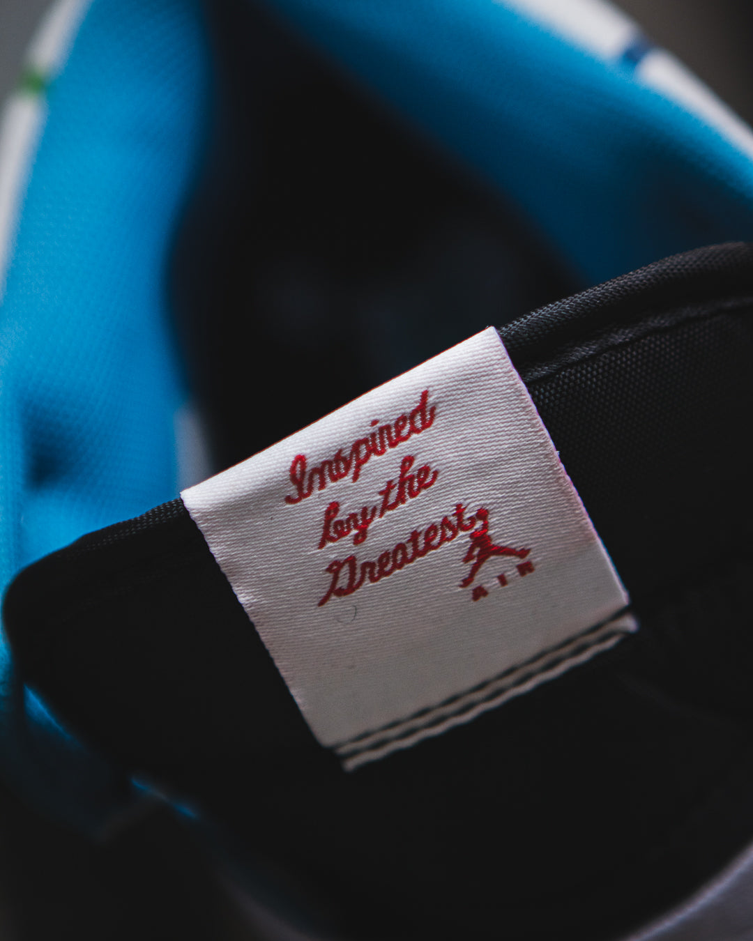 Nike Air Jordan retro 1