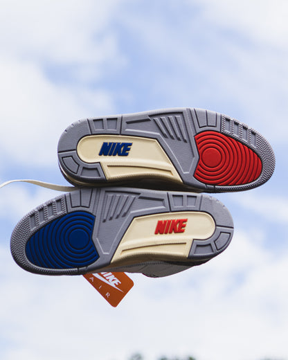 Air Jordan retro 3 seoul 2.0