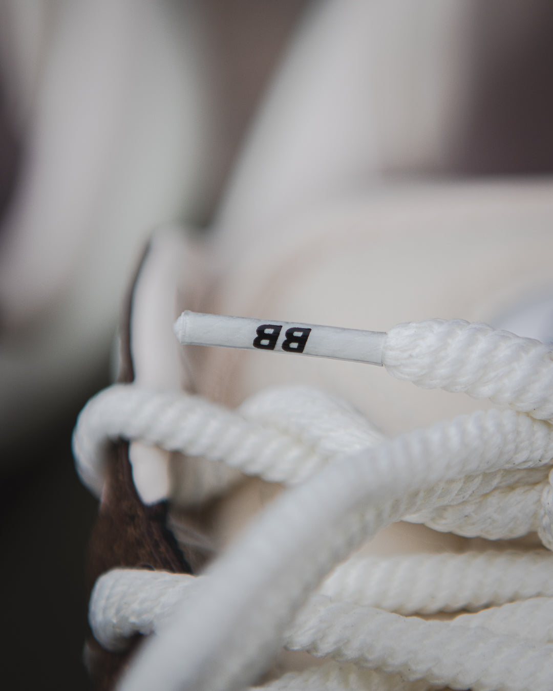 Adidas campus x bad bunny