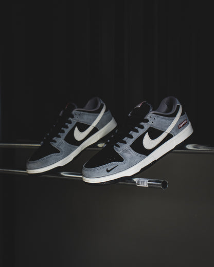 Nike sb dunk low