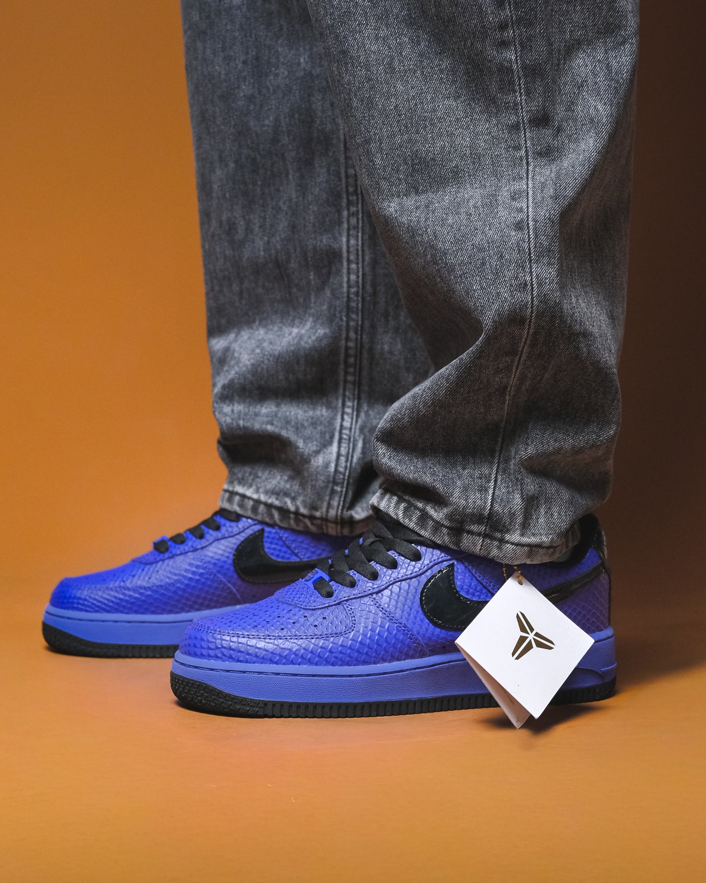 Nike Air Force 1 Low Protro