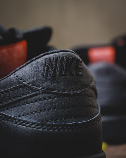 Nike dunk sb