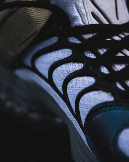 Nike Air Tuned Max