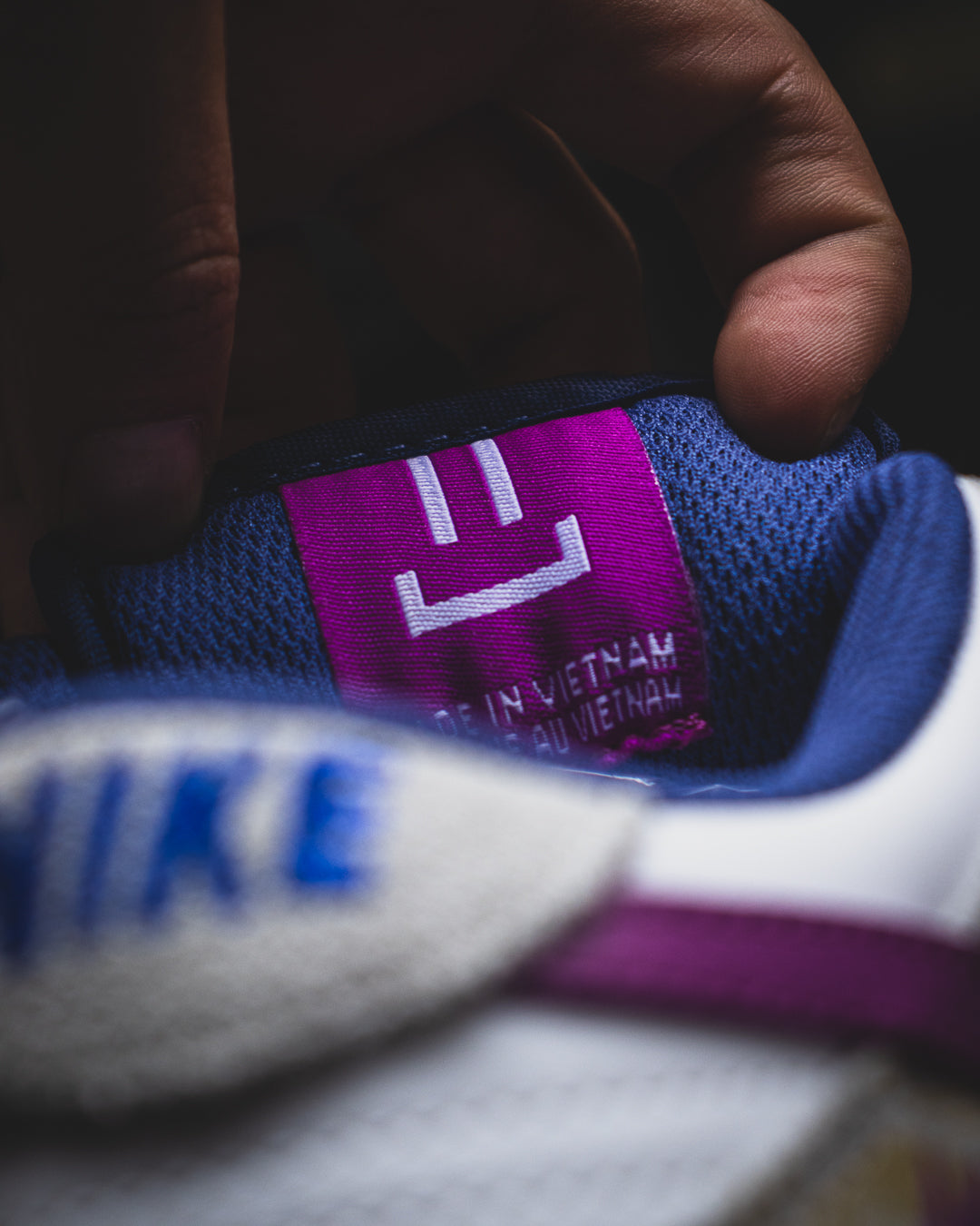Nike SB Dunk Low Pure Platinum and Vivid Purple