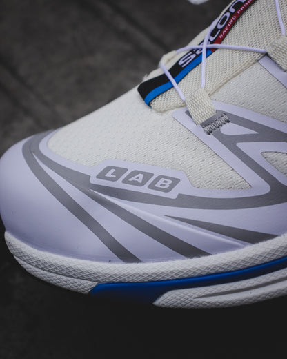 Salomon XT-6