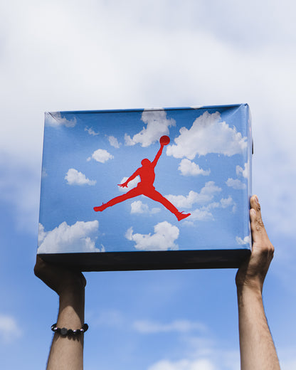 Air Jordan retro 3 seoul 2.0