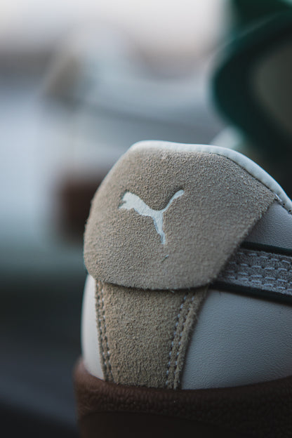 Puma Palermo