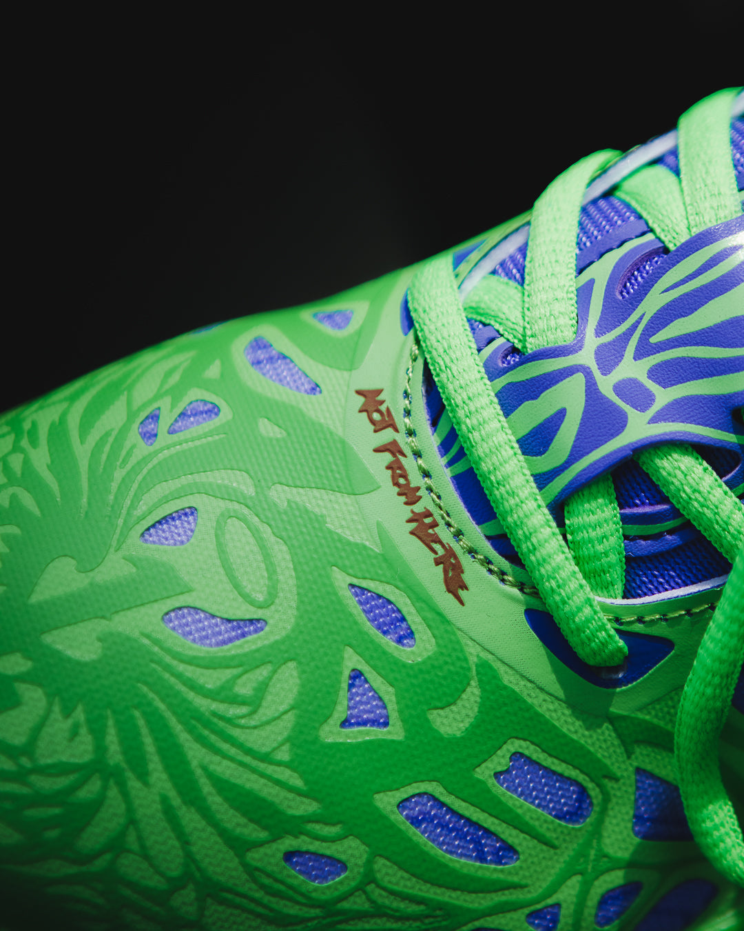 MB.04 Raphael & Donatello x LaMelo Ball x TMNT