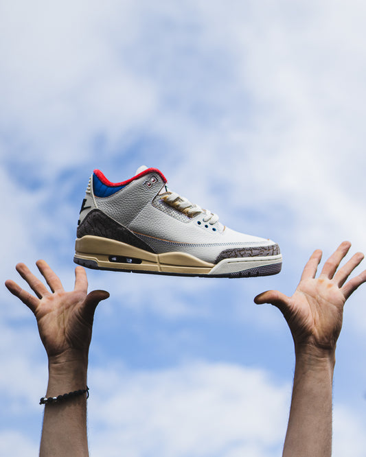 Air Jordan retro 3 seoul 2.0