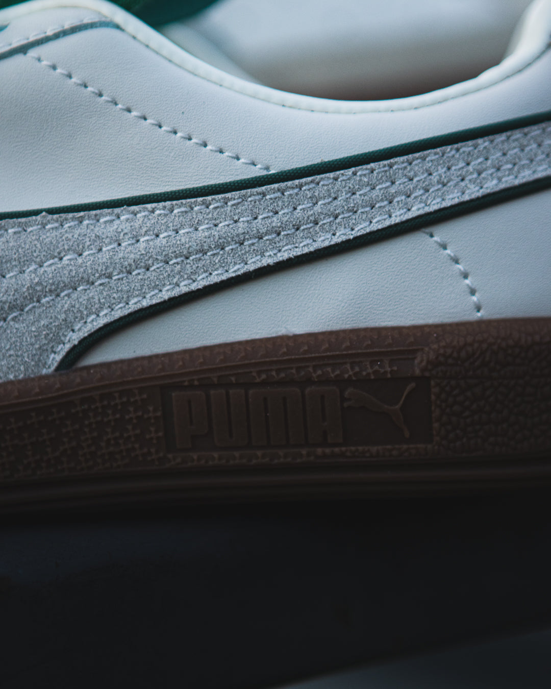 Puma Palermo