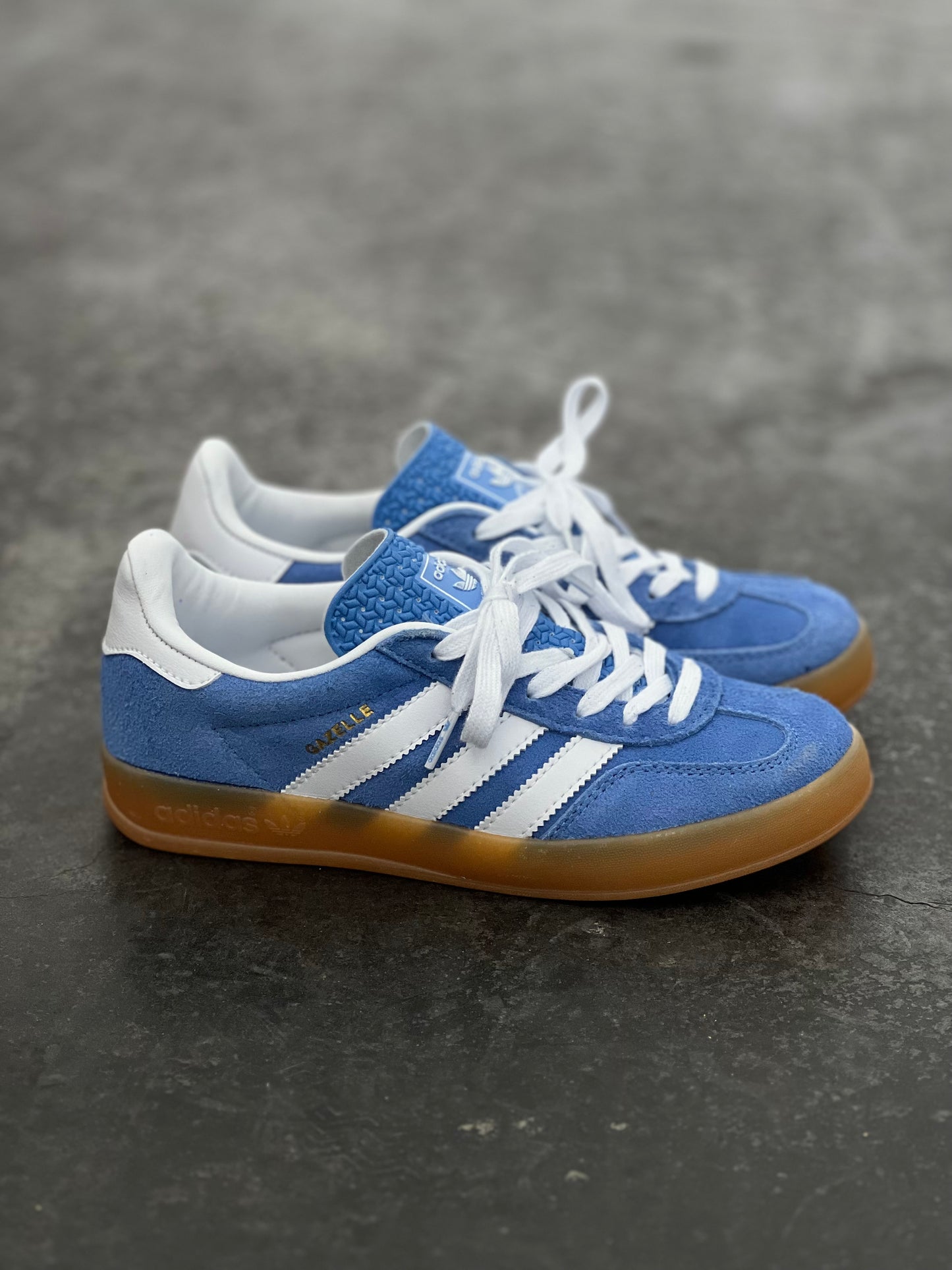 Adidas gazelle indoor