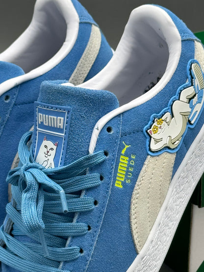 Puma seude RIPNDIP