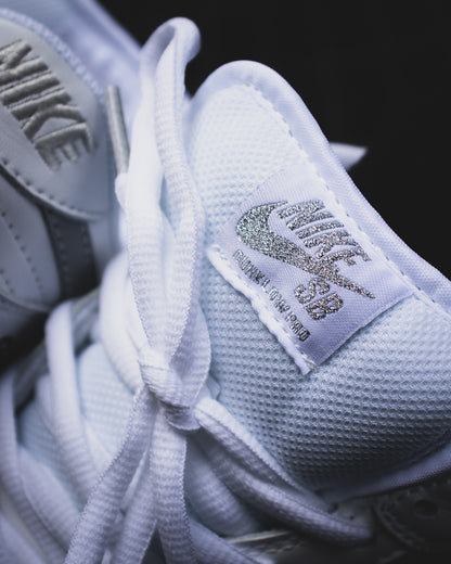 Nike dunk sb