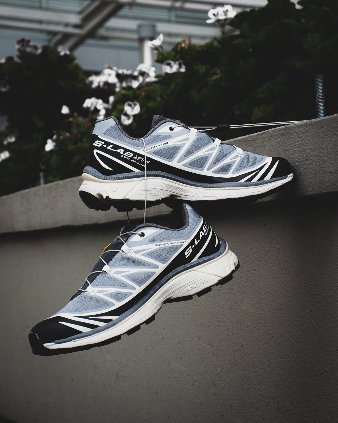 Salomon XT-6