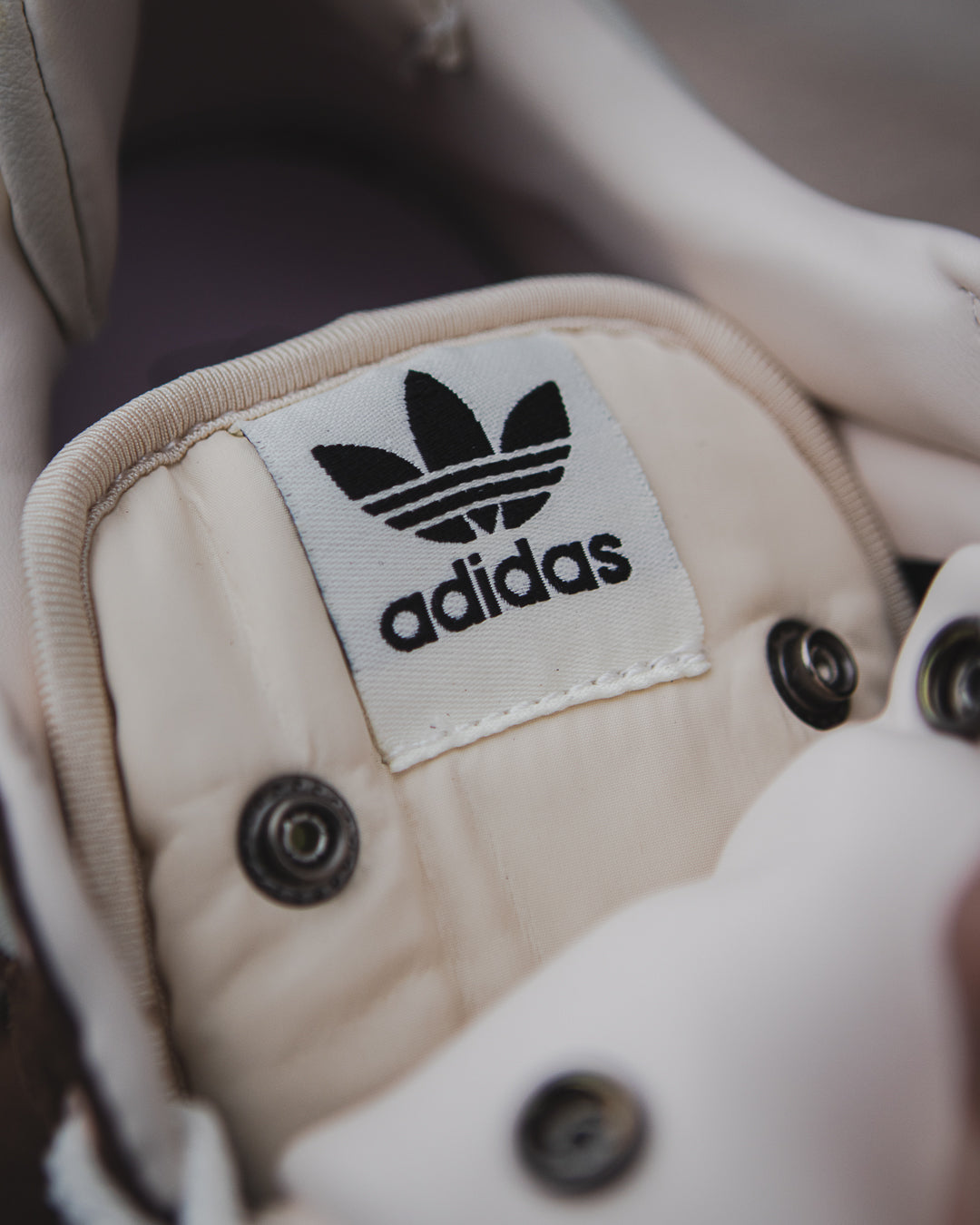 Adidas campus x bad bunny