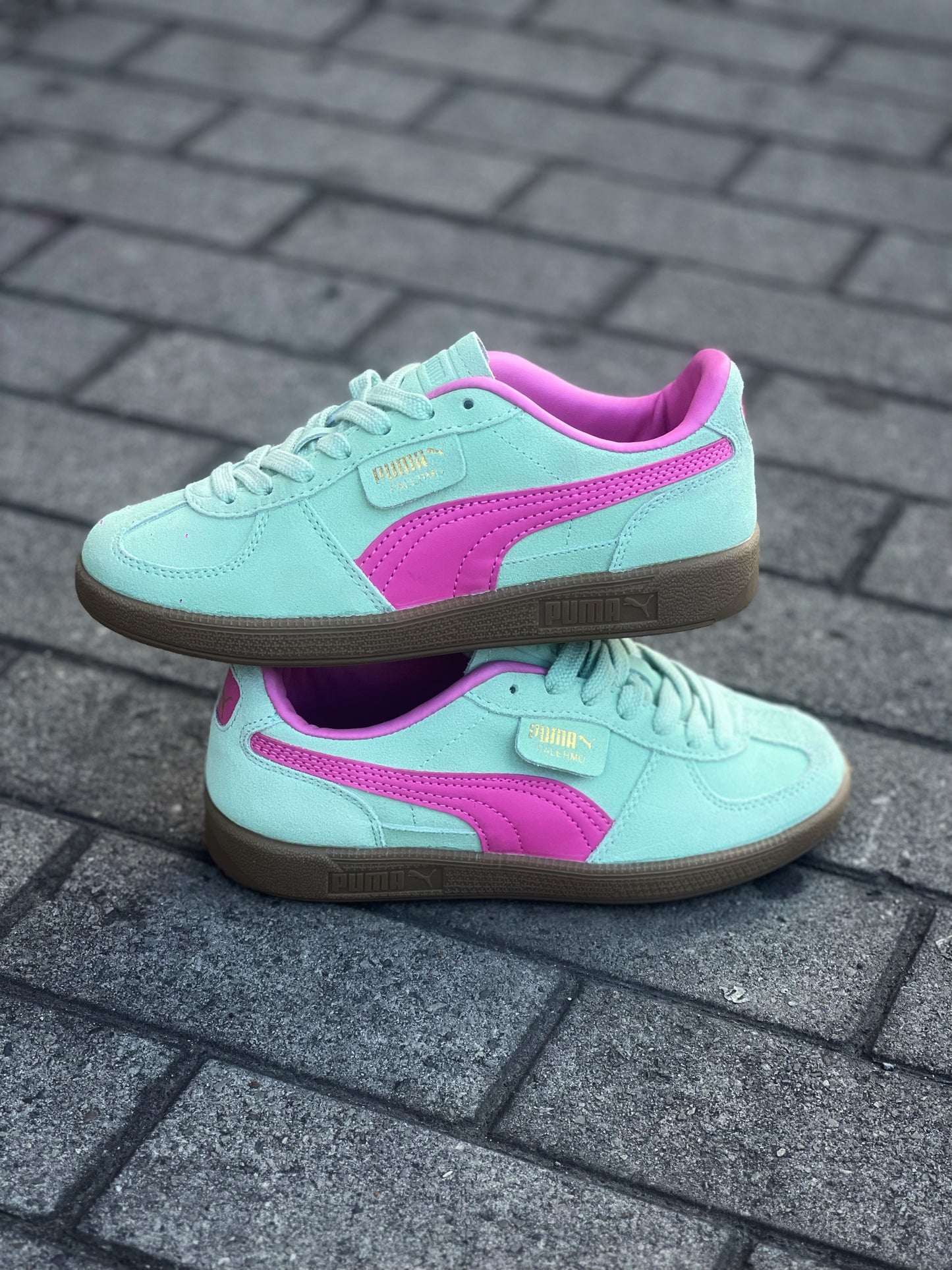 Puma Palermo