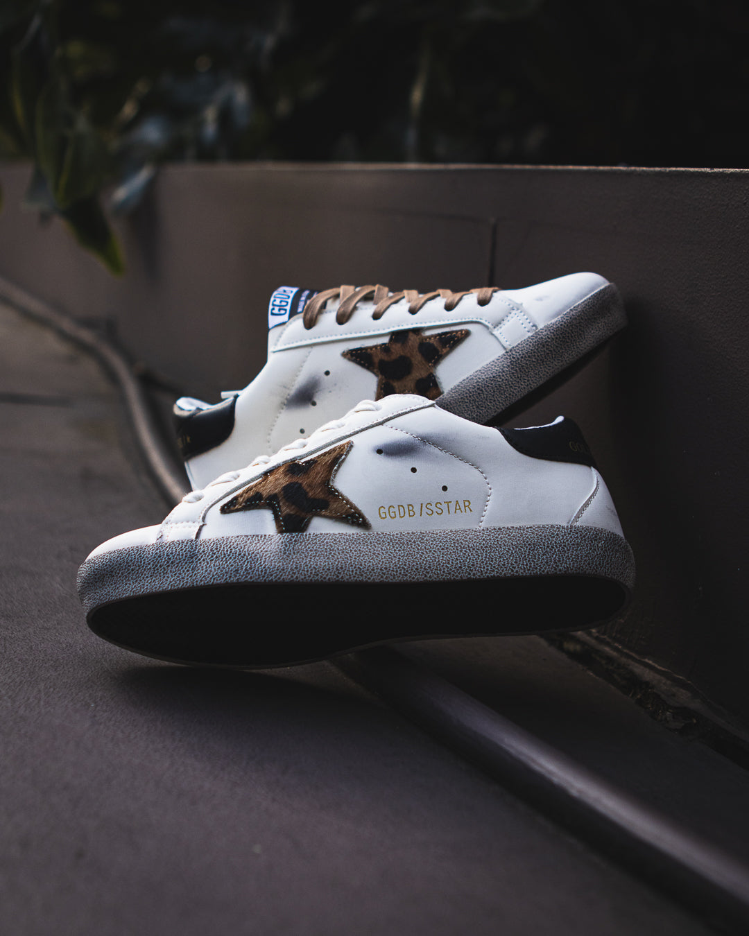 Golden Goose