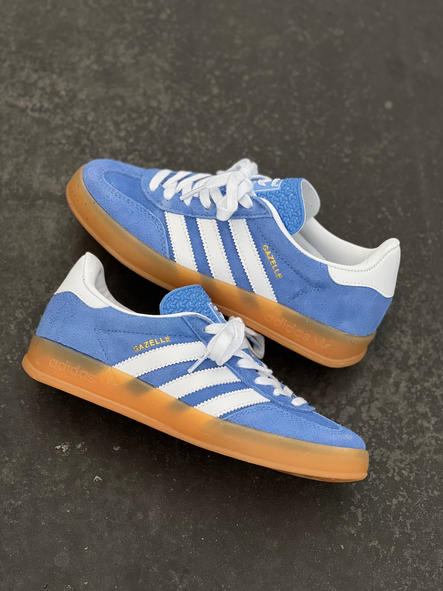 Adidas gazelle indoor