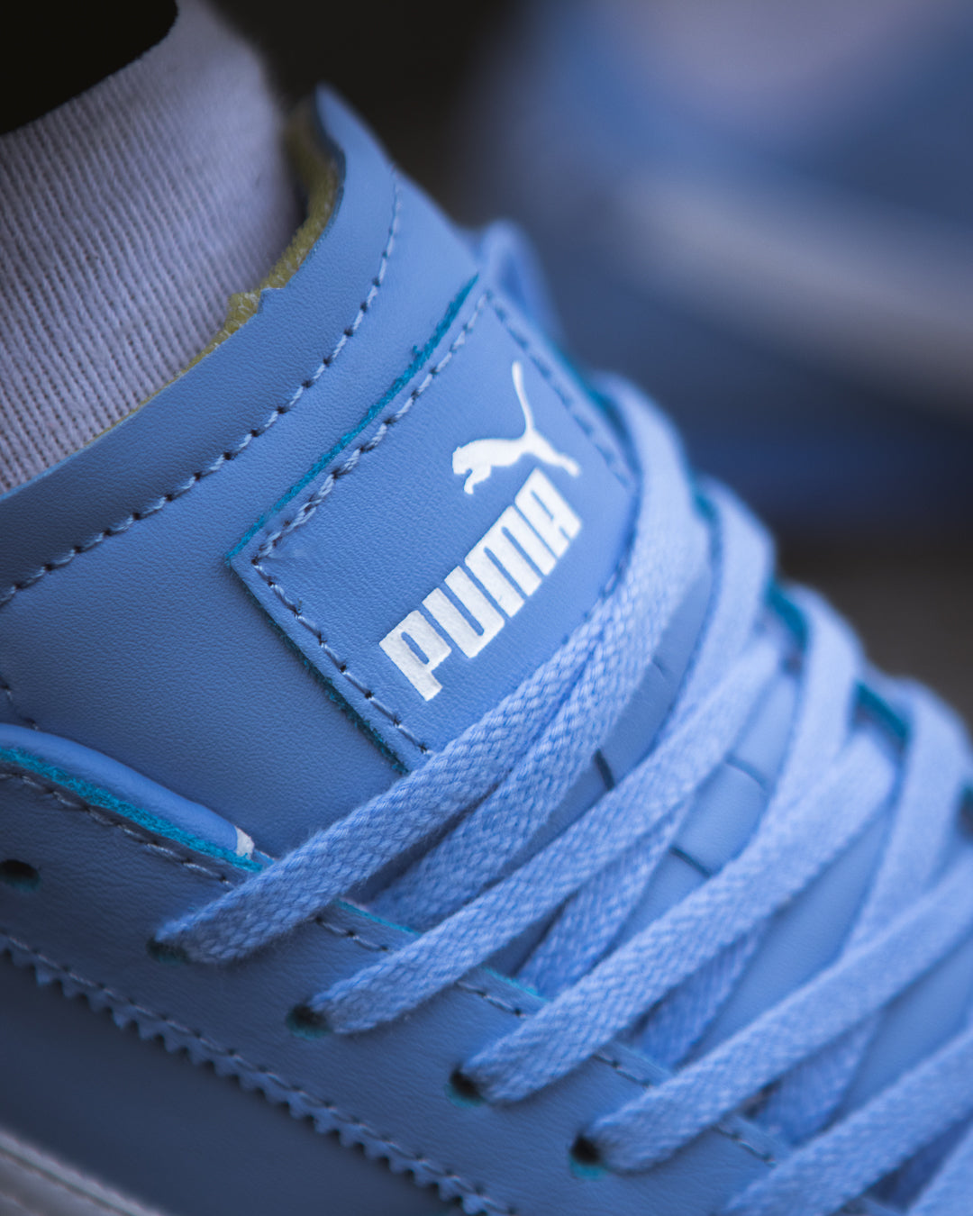 Puma bella ut