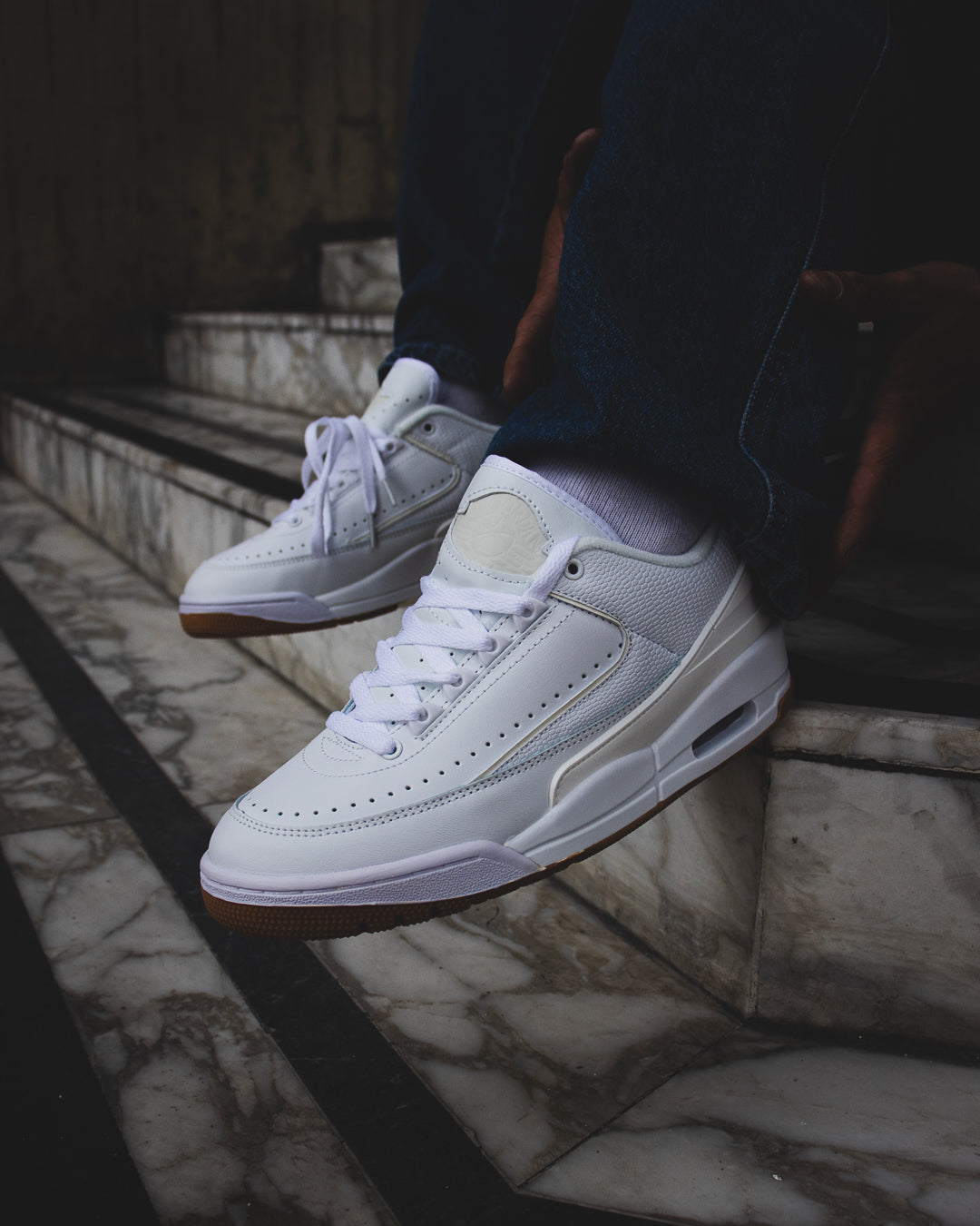 Air Jordan retro 2