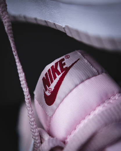 Nike sb dunk