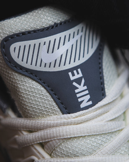 Nike skate