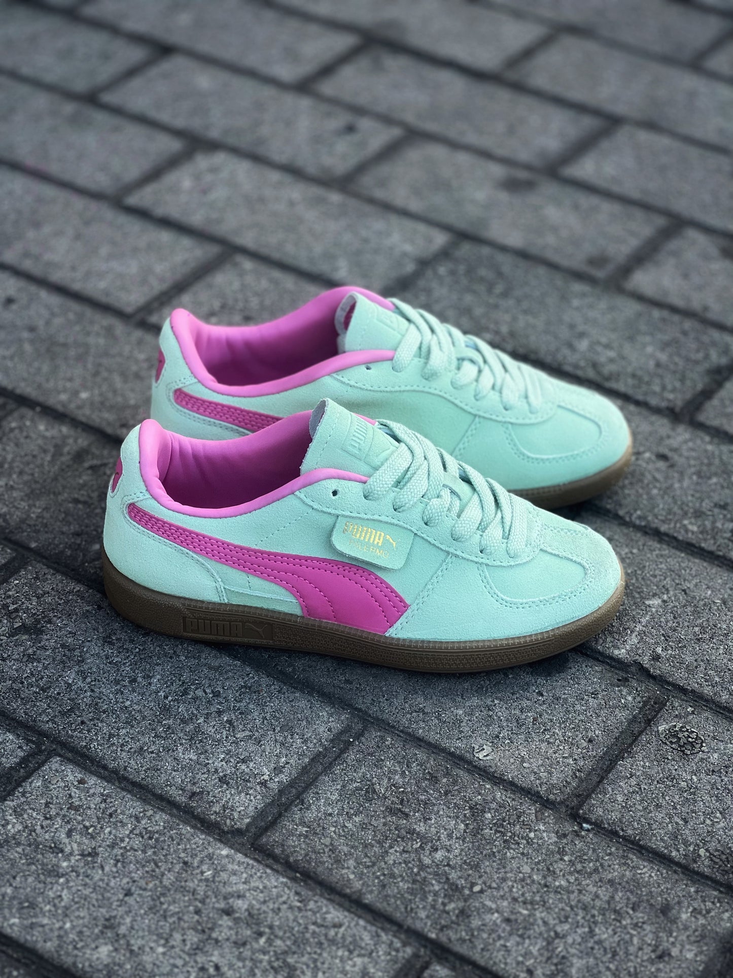 Puma Palermo