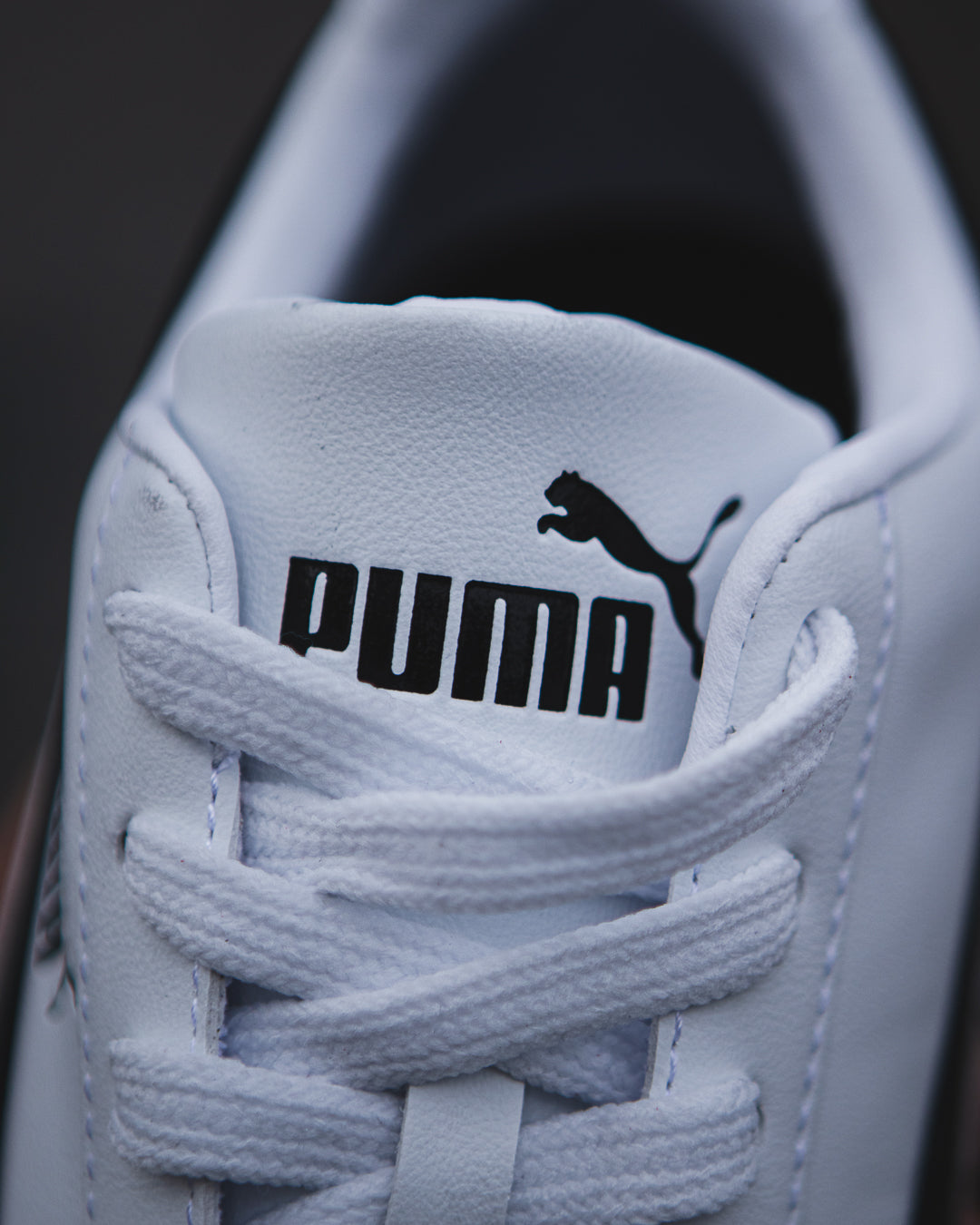Puma speedcat