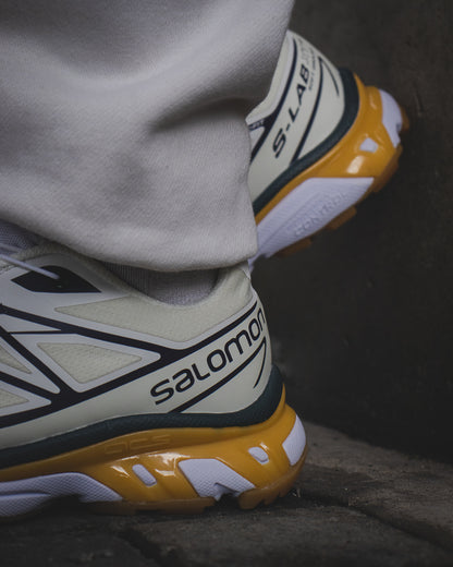 Salomon XT-6