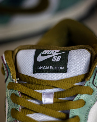 Nike sb x Alexis sablone “chameleon”