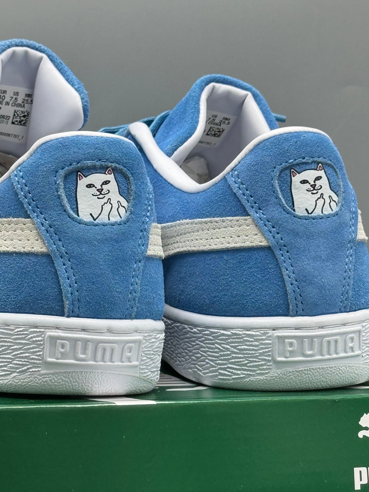 Puma seude RIPNDIP