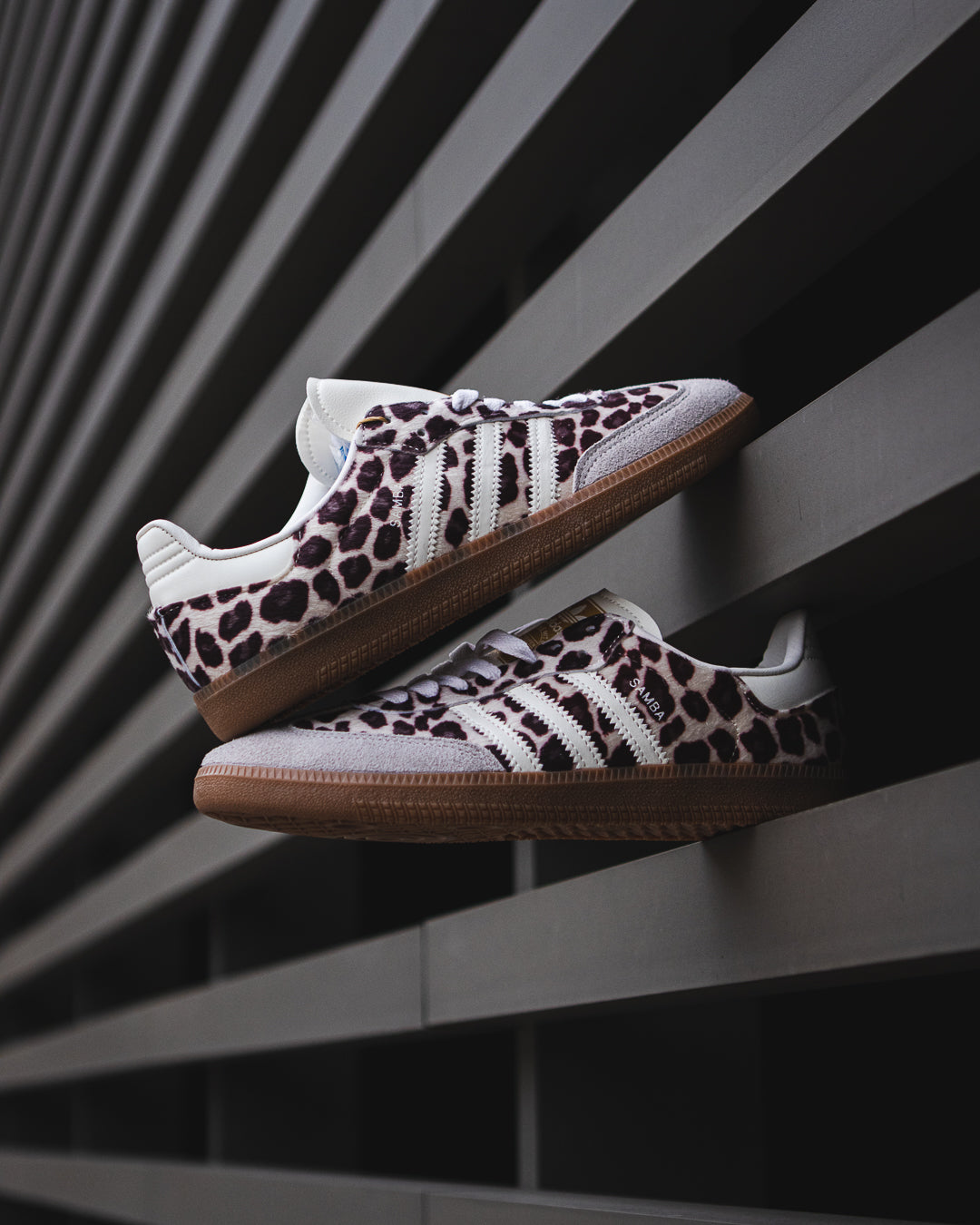 Adidas samba