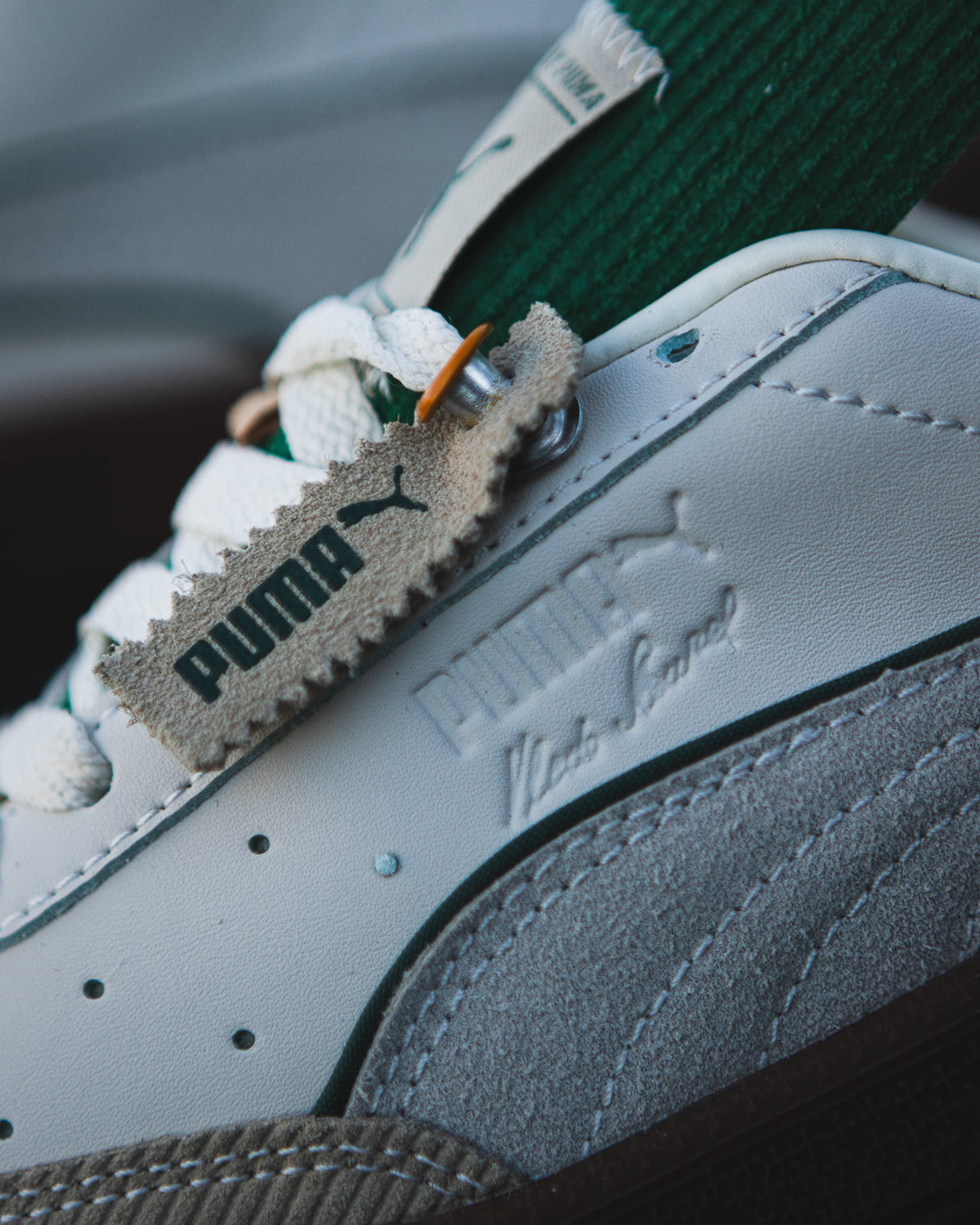 Puma Palermo